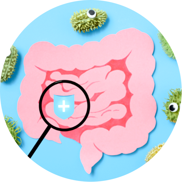 exces bacterian intestinal subtire